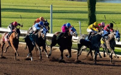 ¡Jinetes venezolanos arrasan en Estados Unidos!