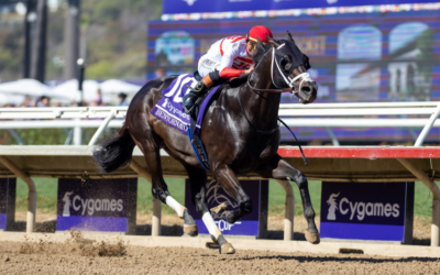 Bentornato: El Relámpago del Leon King Stable que busca la gloria en el desierto de Dubái 🐎🇦🇪